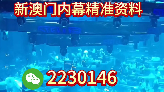 新奧2025今晚開(kāi)獎(jiǎng)資料詳解，新奧2025今晚開(kāi)獎(jiǎng)資料全面解析