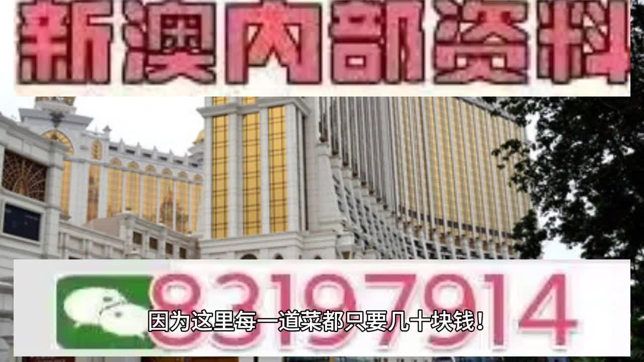 澳門六肖中特馬，探索與解讀，澳門六肖中特馬的探索與解讀指南