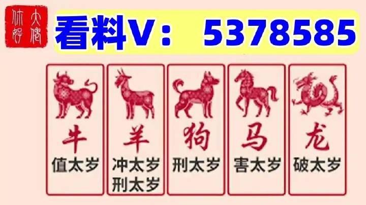 澳門特馬開獎結(jié)果，探索與預(yù)測（2025年展望），澳門特馬開獎結(jié)果展望，未來趨勢分析與預(yù)測（2025年展望）