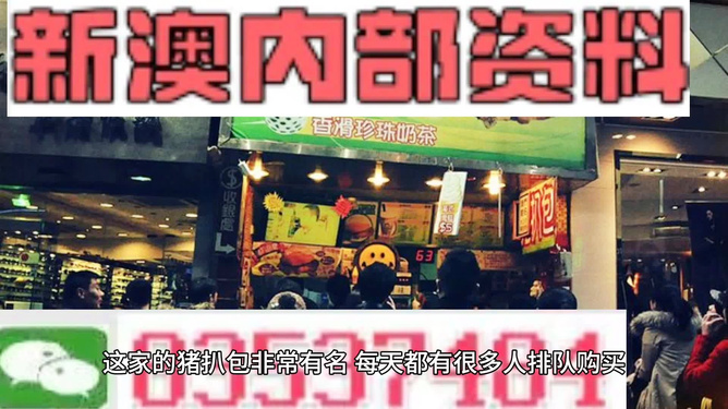 新奧天天精準資料大全，探索與解析，新奧天天精準資料大全，深度探索與全面解析