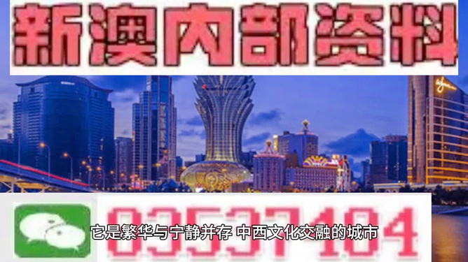 新澳門天天免費(fèi)精準(zhǔn)大全謎語，探索神秘的世界與文化的魅力，新澳門天天免費(fèi)精準(zhǔn)謎語大全，探索神秘世界與文化魅力
