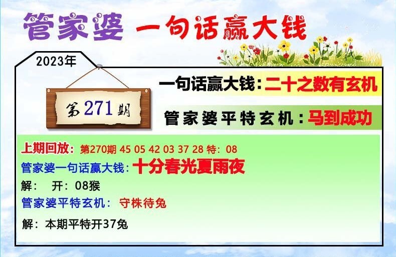 揭秘芳草，探索管家婆四肖四碼中的秘密與策略，揭秘芳草管家婆四肖四碼的秘密與策略探索