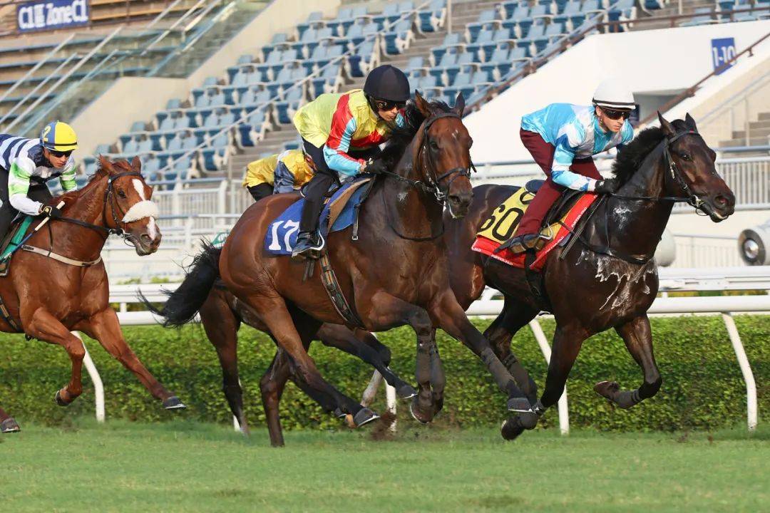 香港馬，77777與88888的傳奇故事，香港賽馬傳奇，77777與88888的傳奇篇章