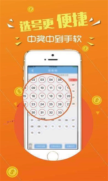 王中王心水論壇，探索智慧之源的聚集地，王中王心水論壇，智慧之源的聚集地探索