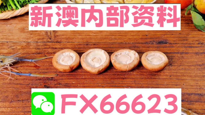 新澳全年免費(fèi)資料大全，探索與收獲，新澳全年免費(fèi)資料大全，探索之旅與收獲的時(shí)刻