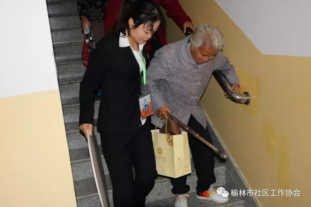 天天免費(fèi)資料彩票大全，探索彩票世界的奧秘與機(jī)遇，天天免費(fèi)資料彩票大全，揭秘彩票世界的奧秘與機(jī)遇