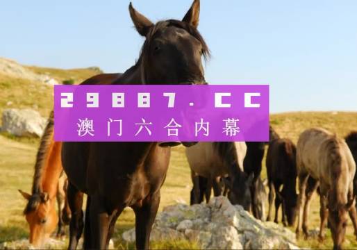 新澳門(mén)管家婆一特一中，探索現(xiàn)代博彩管理的典范，現(xiàn)代博彩管理典范，澳門(mén)管家婆一特一中探索之路