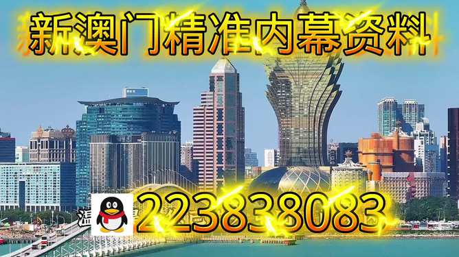 探索新澳門正版內(nèi)部，一個多元化的未來展望（至2025年），澳門未來展望，探索多元化發(fā)展之路至2025年
