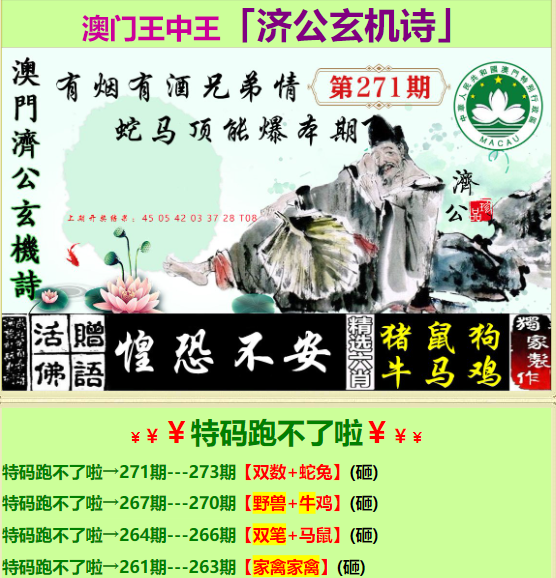 王中王心水與王中王論壇，探索與啟示，王中王心水與王中王論壇，探索之路與啟示
