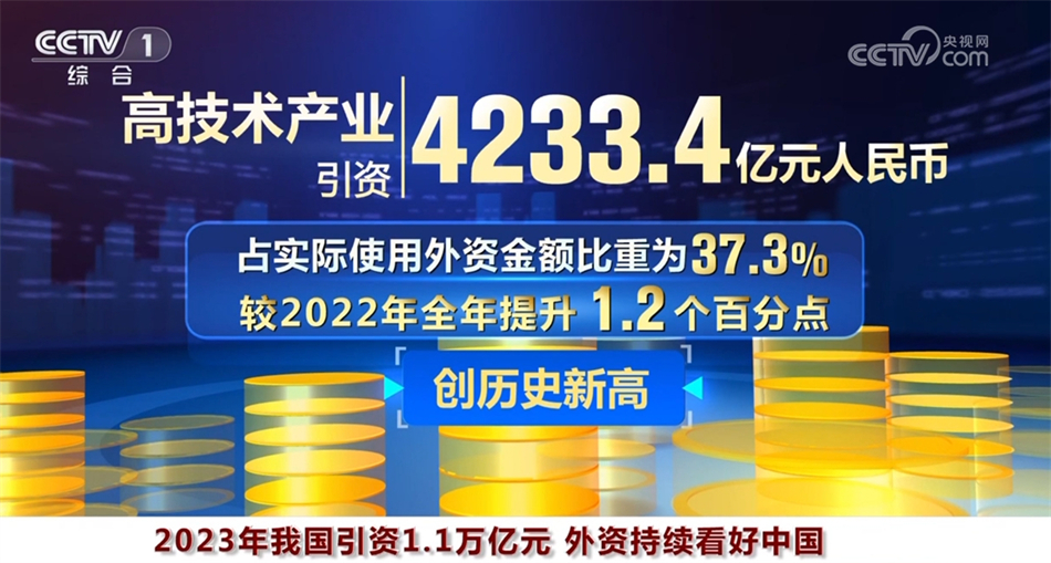 第11頁