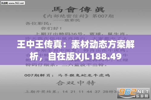 探索正版王中王，數(shù)字背后的故事與意義，正版王中王，數(shù)字背后的故事與深意