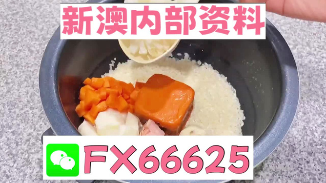 新奧精準(zhǔn)免費(fèi)資料提供，探索與啟示，新奧精準(zhǔn)免費(fèi)資料探索，啟示與分享