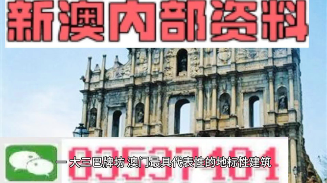 新門內(nèi)部資料大全免費(fèi)，探索與啟示，新門內(nèi)部資料免費(fèi)探索與啟示指南