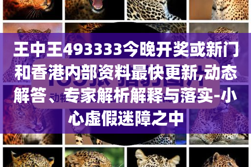 王中王493333中特大全，探索神秘數(shù)字的魅力與內(nèi)涵，王中王493333中的神秘數(shù)字魅力與內(nèi)涵探索