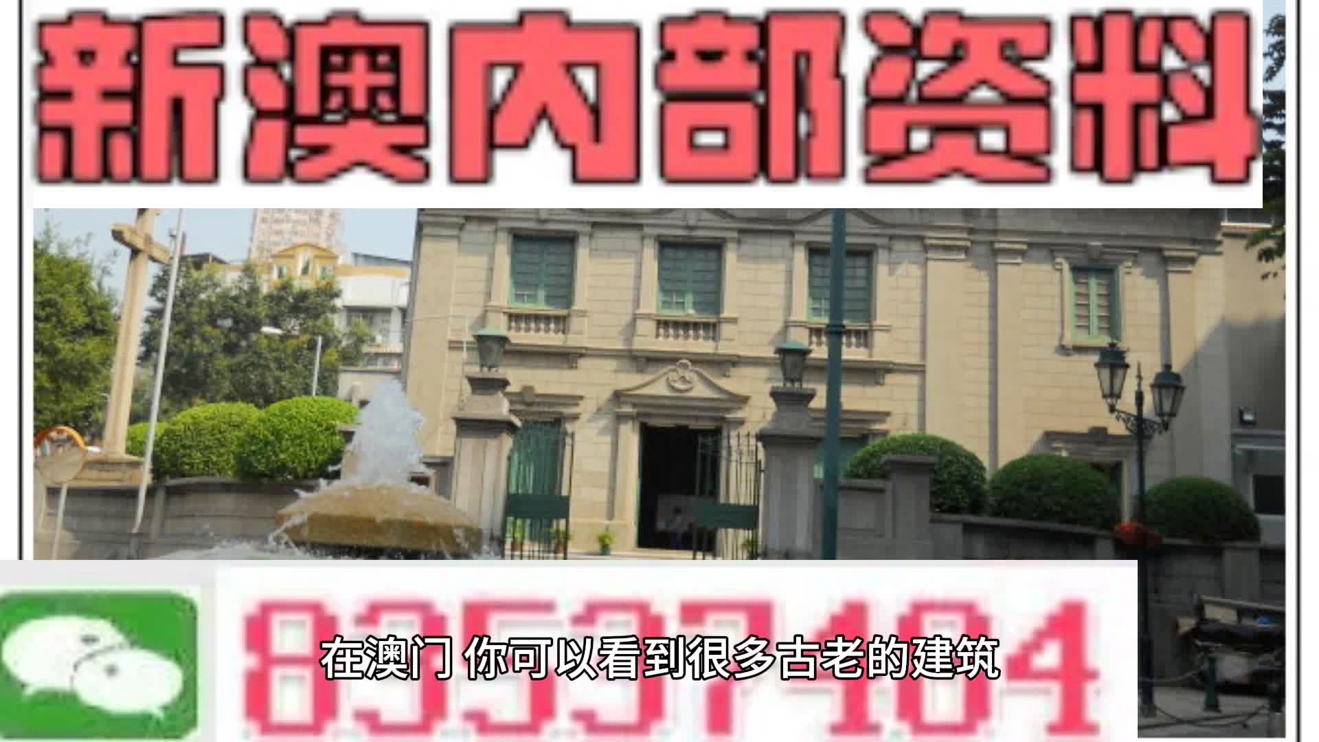 新門內部免費資料大全，探索知識的寶庫，新門內部知識寶庫，免費資料大全探索之旅